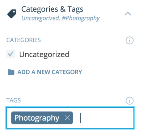 Image result for wordpress tag writing