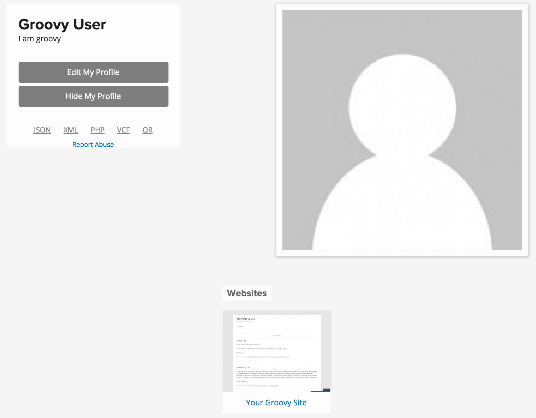 Screenshot of a Gravatar profile page showing a default userpic and the user's website.