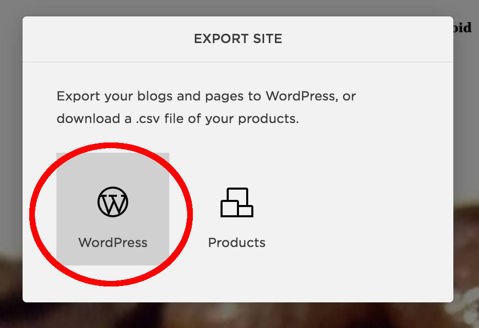 The export WordPress option is shown.
