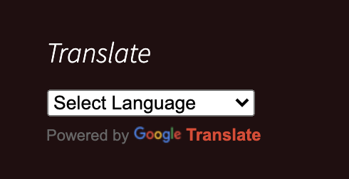 Overlay Google tradutor