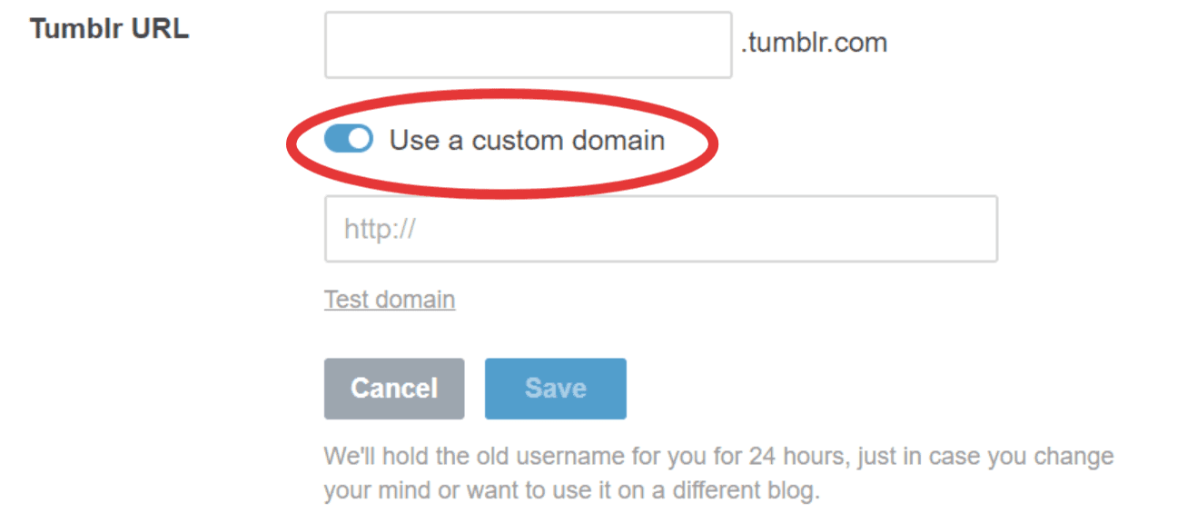 The 'Use a custom domain' option is circled in red.