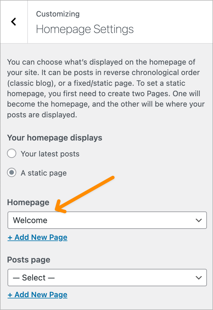 How to Set the Homepage on Your Site