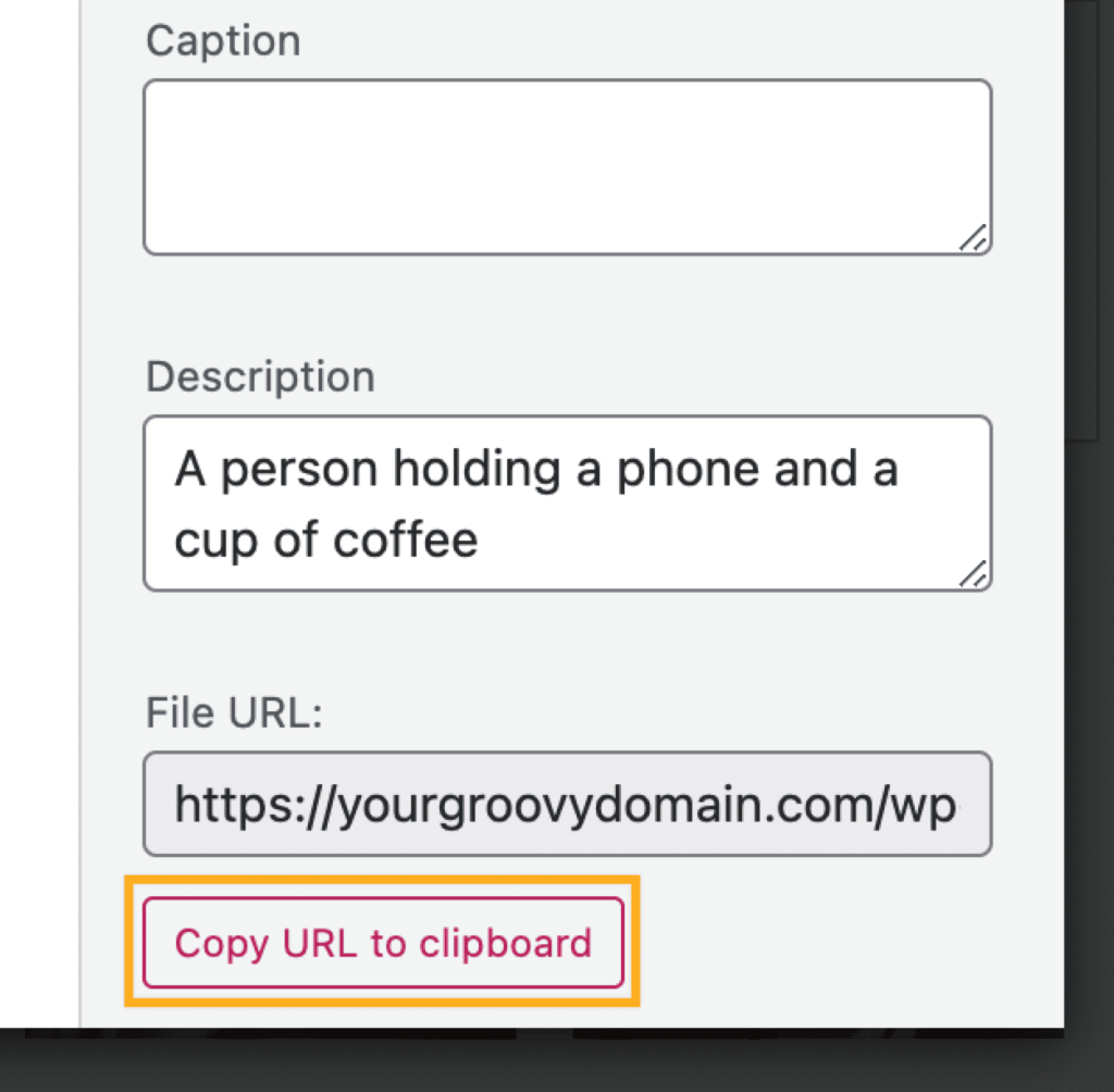 Text fields to the right of a the image details with a box drawn around the button labeled "Copy URL to clipboard."