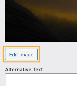 一个框围绕着标有“编辑图像”的按钮。